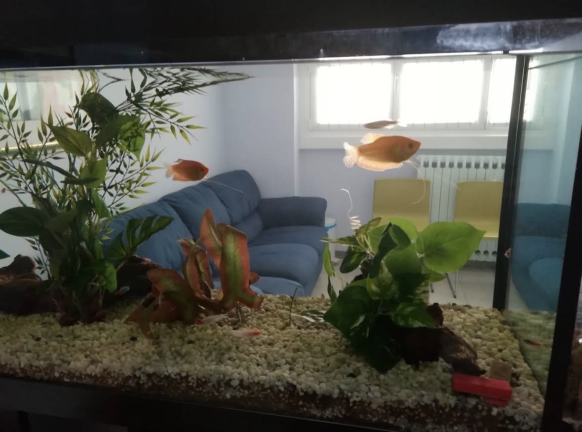 Sala d'attesa con acquario